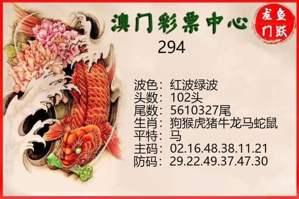 新港彩龙门鱼跃资料图